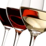 wine filterability turbidity ntu