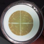 filterability test disc wine