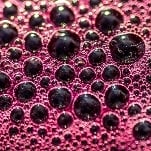 vintage 2018 catalogue winemaking australia