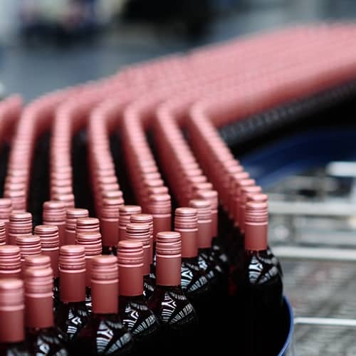 bottling winery packing plant filtration New Zealand