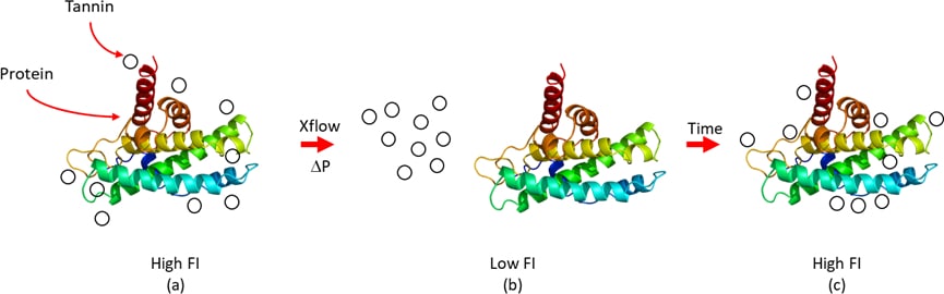 Figure 6 Colloidal disruption and reformation