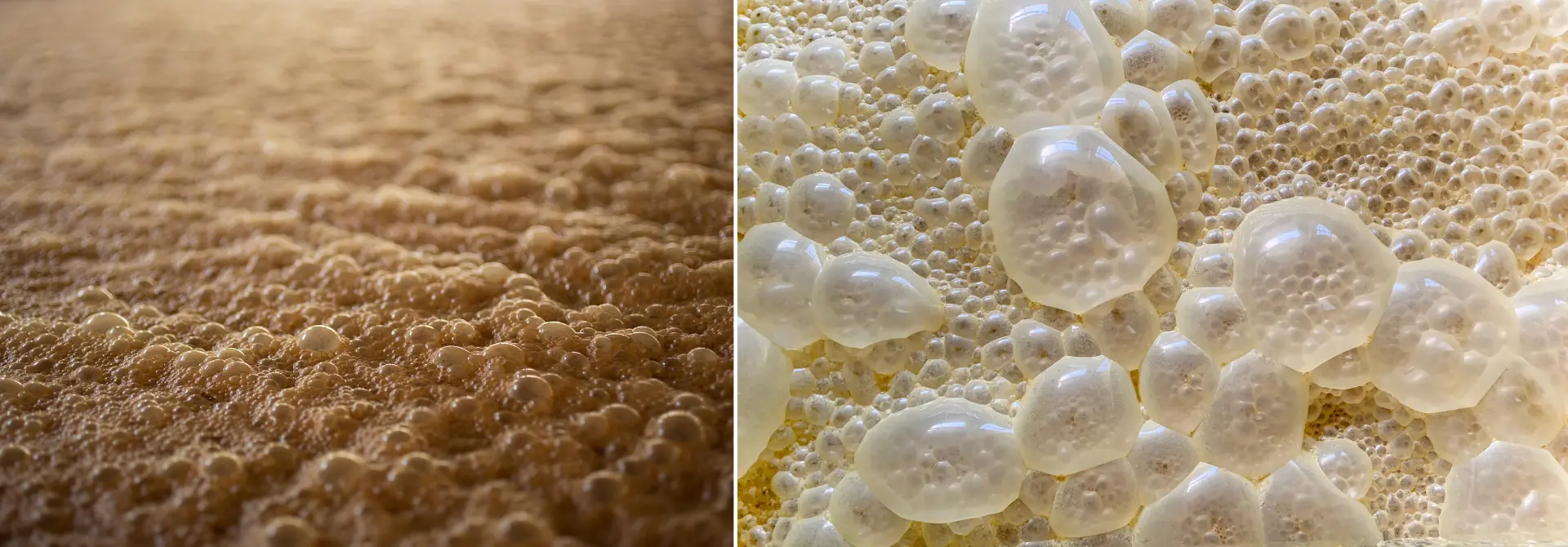 Beverage Fermentation_BHF Banner Application Pages