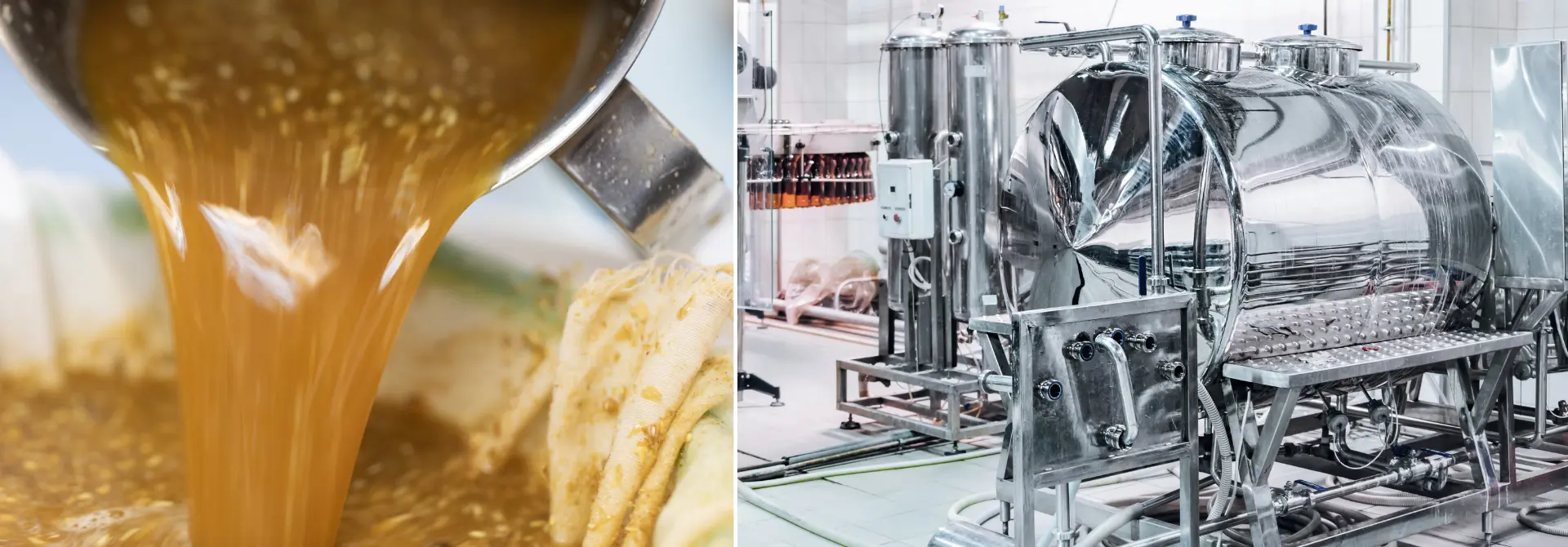 Diatomaceous Earth (DE) Filtration_BHF Banner Application Pages webp