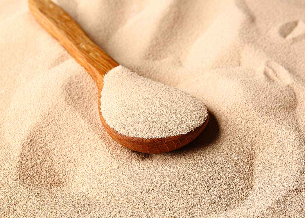 Yeast Propagation Experts