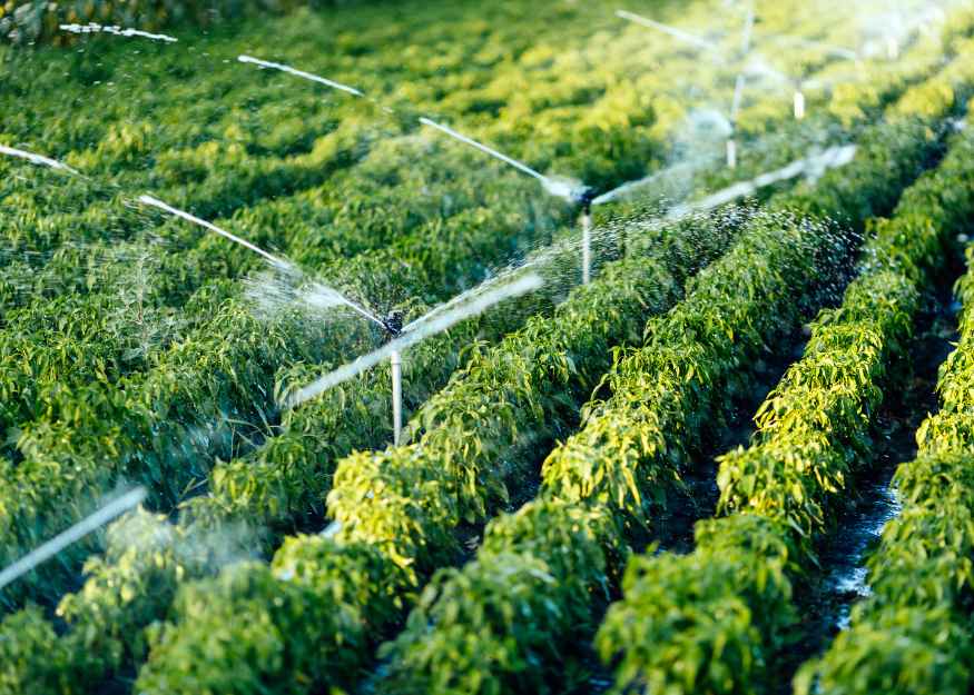 Agricultural Irrigation Water Solutions