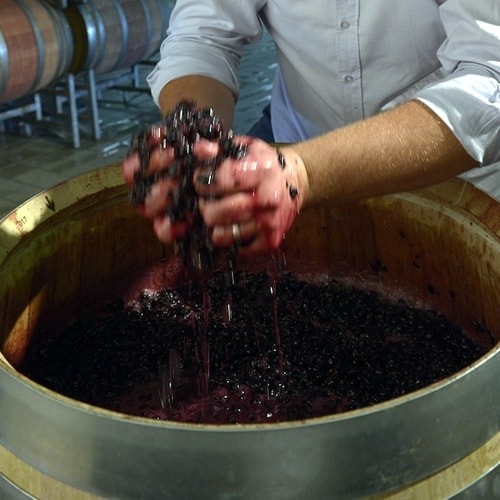 Mash & Must Processing